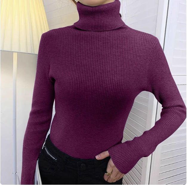 Ribbed Turtleneck Knit Sweater