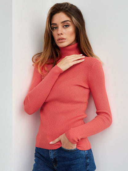 Ribbed Turtleneck Knit Sweater