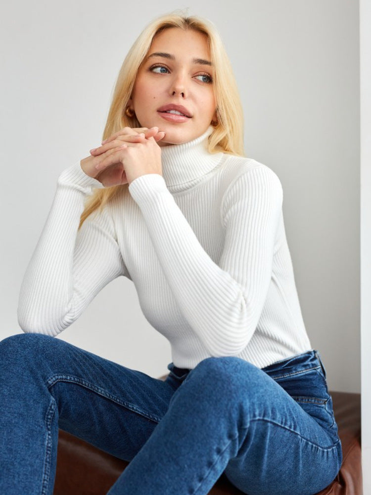 Ribbed Turtleneck Knit Sweater